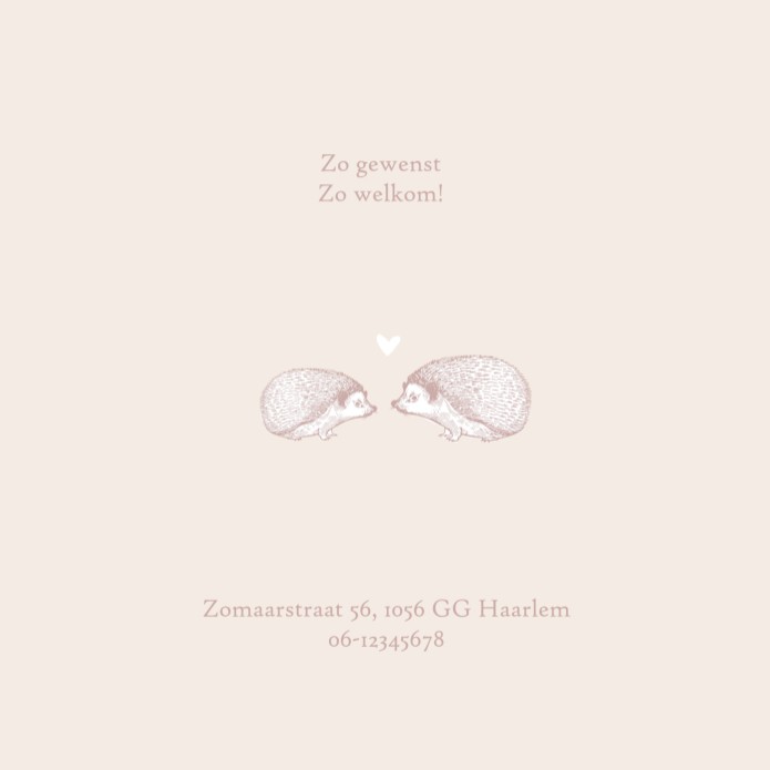 kaart binnenzijde links