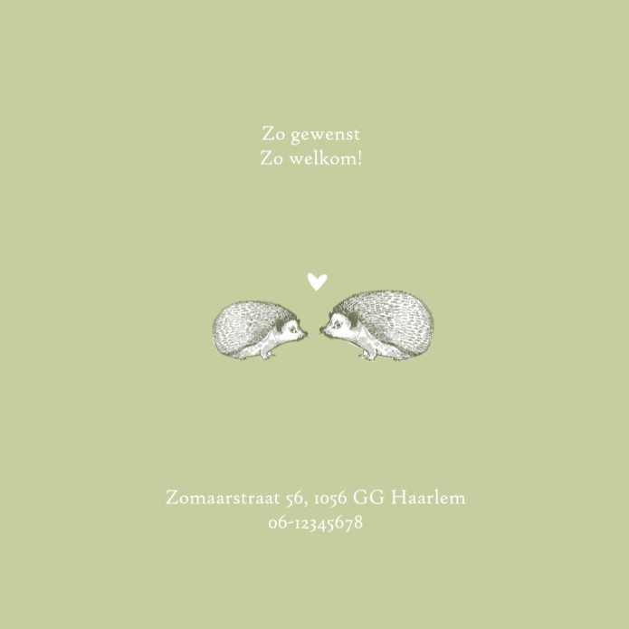 kaart binnenzijde links