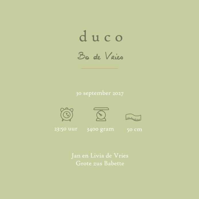 Uniek geboortekaartje met dieren uit het bos met een beer en eekhoorn. De kleuren matchen prachtig met elkaar en zorgt voor een sereen illustratief geboortekaartje. Een bosdieren geboortekaartje waar je als volwassene ook graag naar wil kijken.