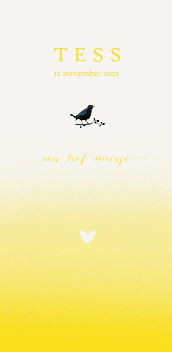 Geboortekaartje lief met kleur overloop