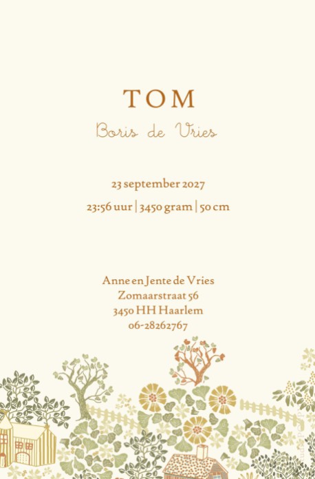 Lief geboortekaartje met huisjes, molen en bloemen. Een dorps tafereel met tuintjes en hekjes. Een sereen geboortekaartje dat ook illustratief is in mooie zachte kleuren. Bestel eens een proefdruk om de kaart in het echt te kunnen bekijken en bewonderen!