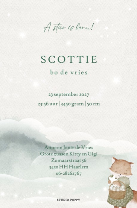 Lief geboortekaartje met vosje in de wolken dat sterren in een mandje spaart. Een mandje vol sterren die worden gevangen uit de sterrenhemel boven de wolken. Het andere vosje vangt ze met een netje uit de lucht.