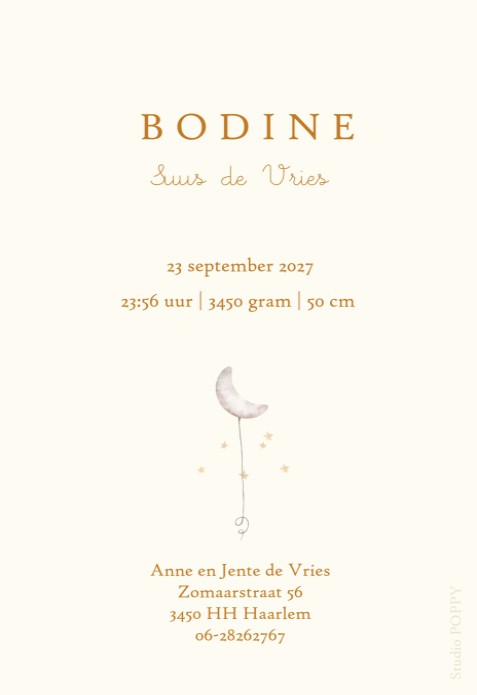 Geboortekaartje in boogvorm met lief beeld van een vosje op een fiets. Met de hand geschilderde illustratie en origineel geboortekaartje voor jullie pasgeboren baby. De zachte kleuren zijn sereen en dus ook geschikt voor als je meer van een rustig geboort