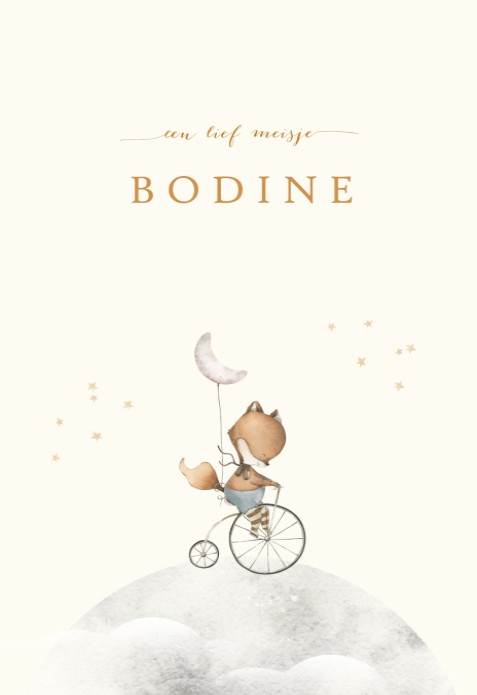 Geboortekaartje in boogvorm met lief beeld van een vosje op een fiets. Met de hand geschilderde illustratie en origineel geboortekaartje voor jullie pasgeboren baby. De zachte kleuren zijn sereen en dus ook geschikt voor als je meer van een rustig geboort