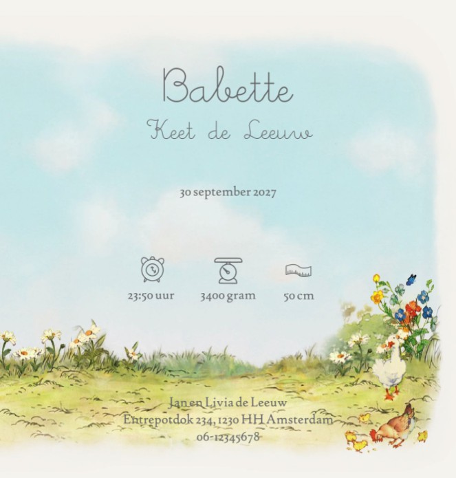 Geboortekaartje baby in mandje met grote zus. In de tuin bloeien de bloemen en de eekhoorns, kat en ganzen komen een kijkje nemen naar de nieuwe baby. Lief geboortekaartje in de lente met bosdieren.