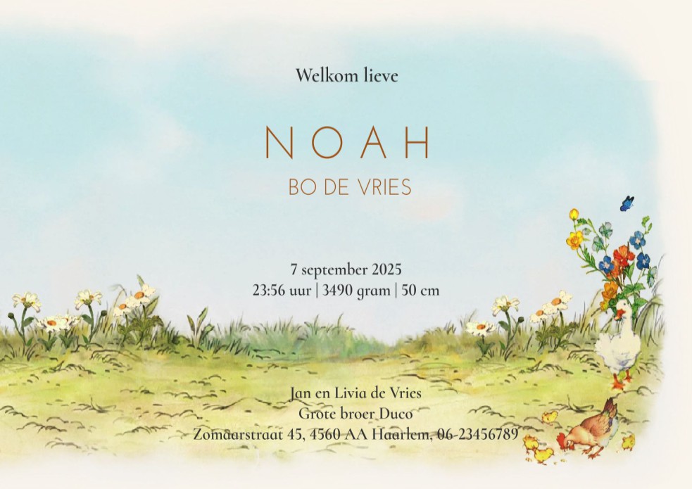 Geboortekaartje lieve tuin met bloemen en bosdieren. Lief geboortekaartje  waar grote broer ook een rol in speelt. De vogeltjes, eekhoorn en kat zijn benieuwd naar de baby in het mandje. Vraag eens een gratis proefdruk aan.