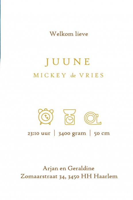 Fijne lijntekeningen maken dit geboortekaartje erg bijzonder. In warme ton sur ton kleuren of foliedruk heb je iets bijzonders in handen. De achtergrondkleur is eenvoudig aan te passen. Met de ontwerptool kun je jouw mooie geboortekaartje ontwerpen zoals 