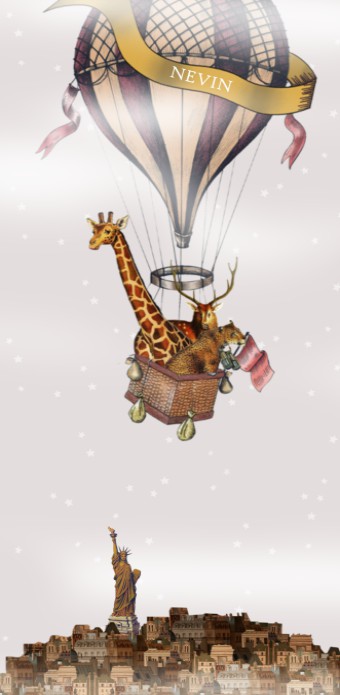 Geboortekaartje luchtballon boven de stad New York