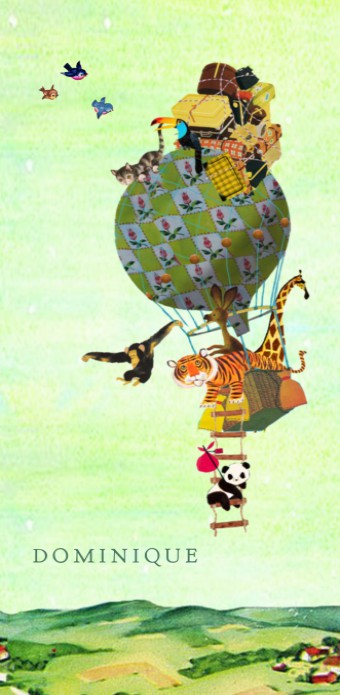 Geboortekaartje luchtballon