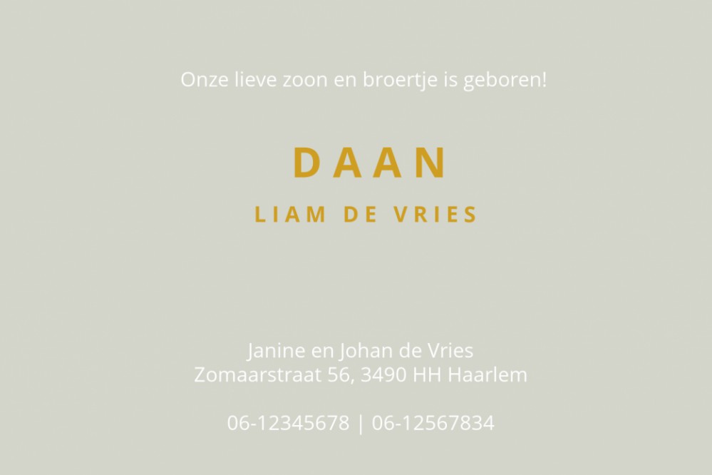 Geboortekaartje met aap in goudfolie of in onze andere varianten foliedruk. Een klassiek geboortekaartje in strakke vormen en heldere kleuren. De aap geeft een twist aan dit klassieke naam kaartje.