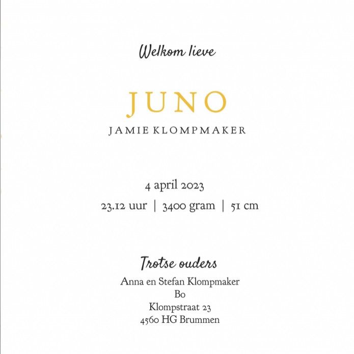 Geboortekaartje avontuur met broertje of zusje erbij. Een winter tafereel met ijsbeer dat een papieren bootje vooruit duwt. De nacht met sterren maakt het tot een sfeervol en bijzonder geboortekaartje. Vraag eens de gratis proefdruk aan.