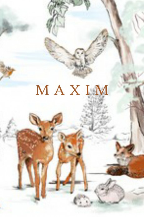 Geboortekaartje 'Magic Forest' van Annet Weelink Design