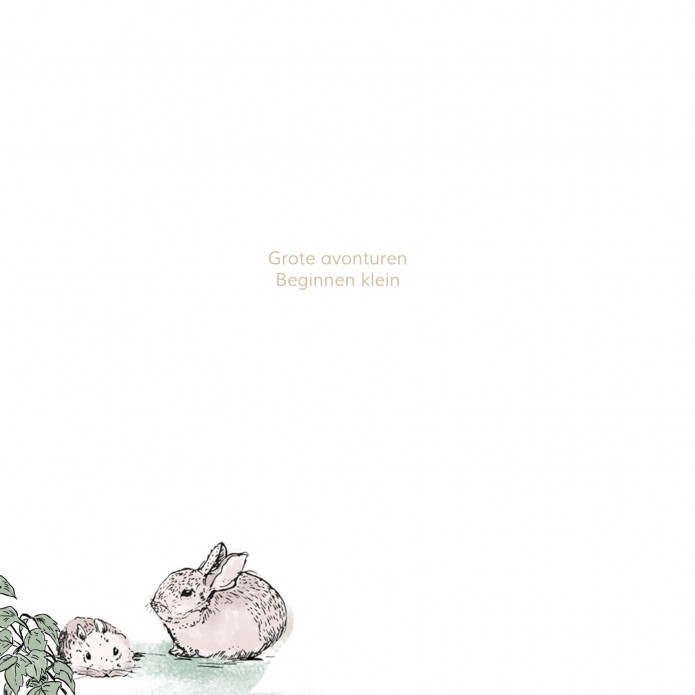 kaart binnenzijde links