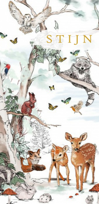 Geboortekaartje 'Magical Forest' van Annet Weelink Design.