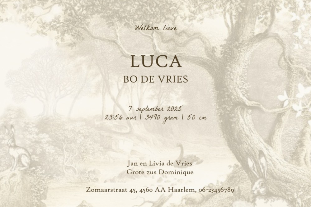 Geboortekaartje romantisch herfst bos met bosdieren zoals het hert, wasbeer en beren. Vogels en eekhoorn zitten in de boom in prachtige herfst kleuren. Een illustratie die niet zal vervelen. Vraag eens een gratis proefkaartje aan zodat je met eigen ogen d