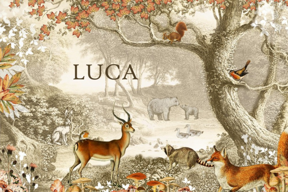 Romantisch geboortekaartje herfst met bosdieren