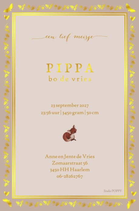 Geboortekaartje magische boom met vosje met illustratief kader. Een origineel geboortekaartje waar je zelf nog van alles aan kan veranderen. Met de editor tool ben je zelf de baas en kun je je geboortekaartje zelf ontwerpen.