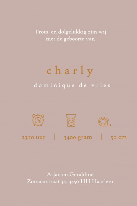 Geboortekaartje Marokkaans landschap. Foliedruk geboortekaartjes zijn niet meer weg te denken. Ze geven jullie bijzondere geboortekaartje een chique uitstraling en eentje om voor altijd te bewaren. Bepaal zelf wat in foliedruk wil hebben, wij helpen je! V