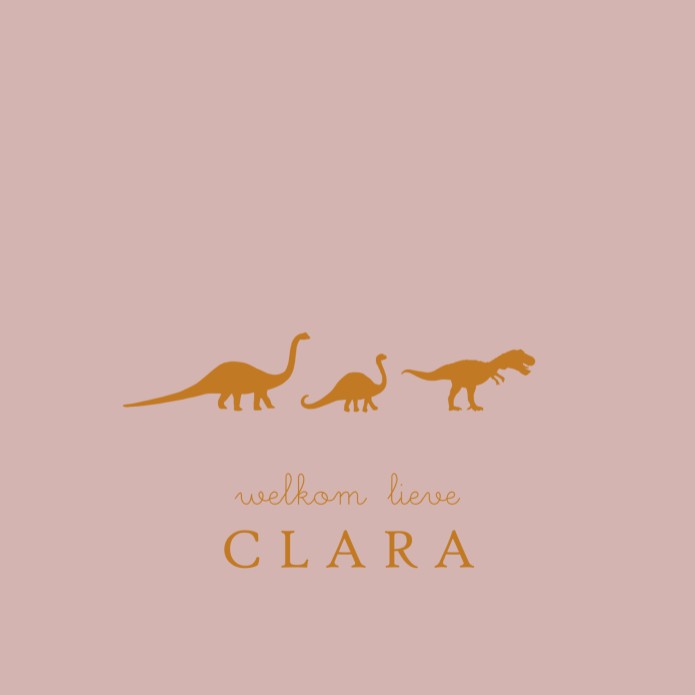 Geboortekaartje met dinosaurus