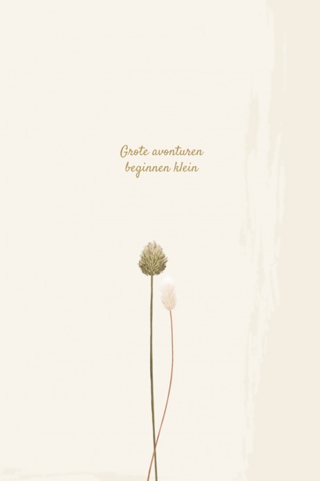 kaart binnenzijde links