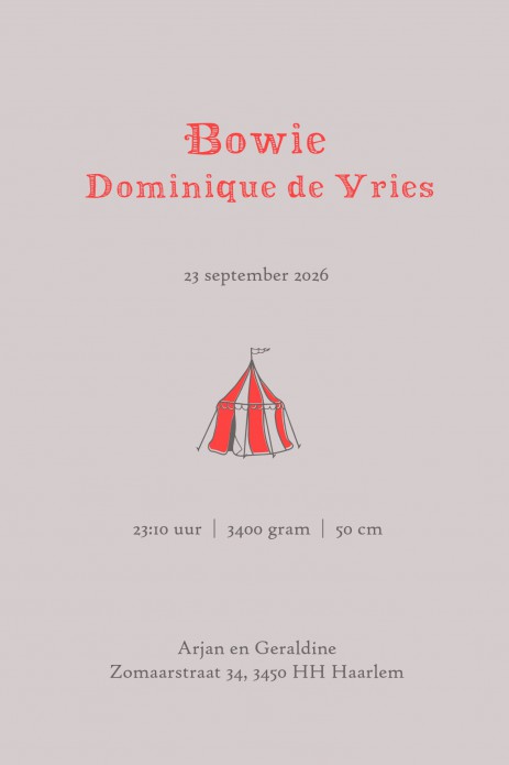 Een heel bijzonder vintage geboortekaartje in offset look met neon look accenten. Vintage circus met tijger, sterke man, pierrot, olifant en circustent op een smaakvolle manier geïllustreerd. Circus spreekt tot de verbeelding, een magische wereld dat zich
