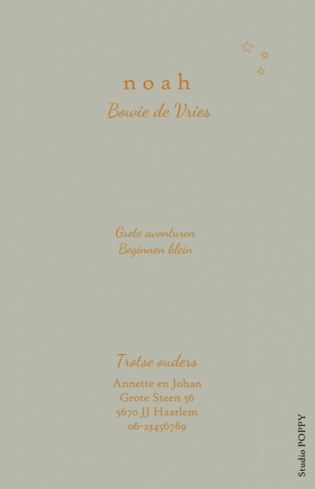 Geboortekaartje met foto avontuurlijk met astronauten en planeten. Een stoer geboortekaartje waarmee je gelijk aan iedereen de baby kunt laten zien! De elementjes met maan in het heelal kun je ook in foliedruk laten drukken.