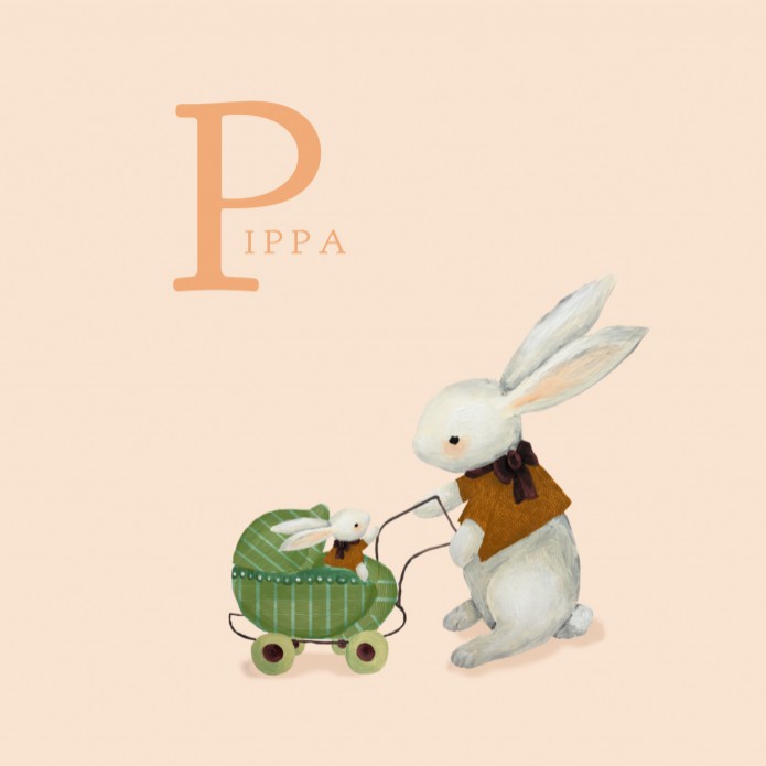 Geboortekaartje met konijn en wandelwagentje