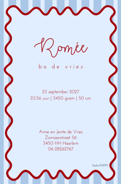 Geboortekaartje met speels kader en strepen color blocking. Het handgetekende strikje is helemaal van nu en maakt het een hip geboortekaartje. De hippe color blocking kleuren kun je helemaal naar eigen wens aanpassen.