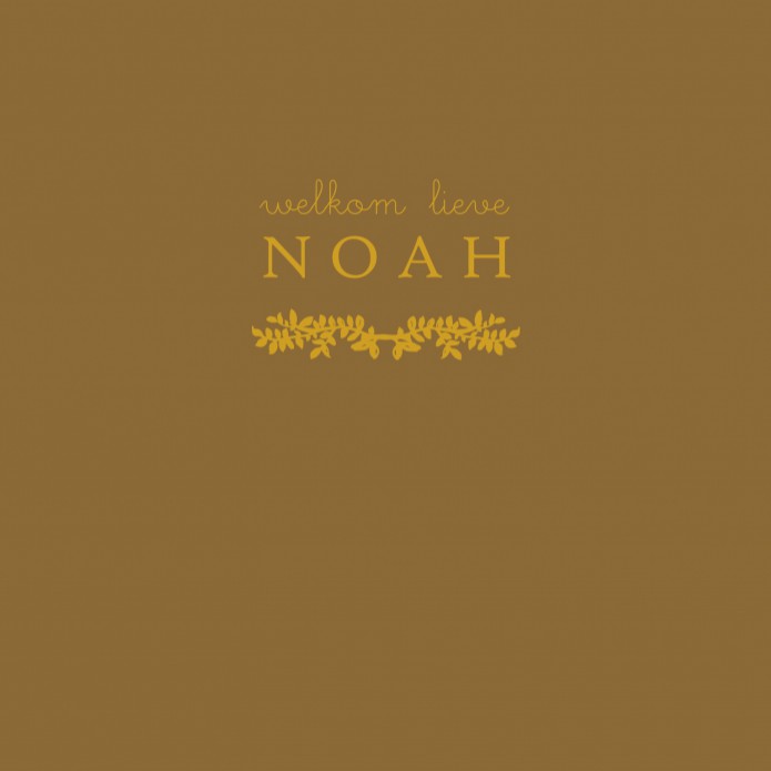 Geboortekaartje klassiek met folie en botanisch takje