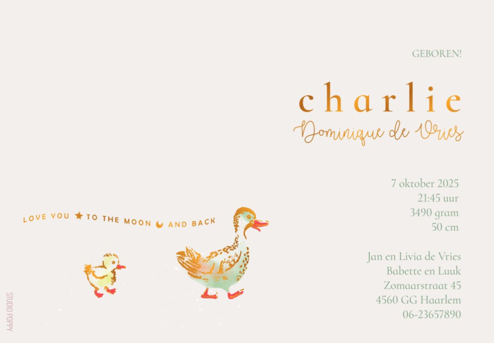 Een heel stijlvol geboortekaartje met moeder eend en haar eendjes achter haan aan. 3 Eendjes waar je er natuurlijk ook twee eendjes van kunt maken. Of bij een eerste kindje haal je er twee weg. Met folie details, maak eens proefdruk!