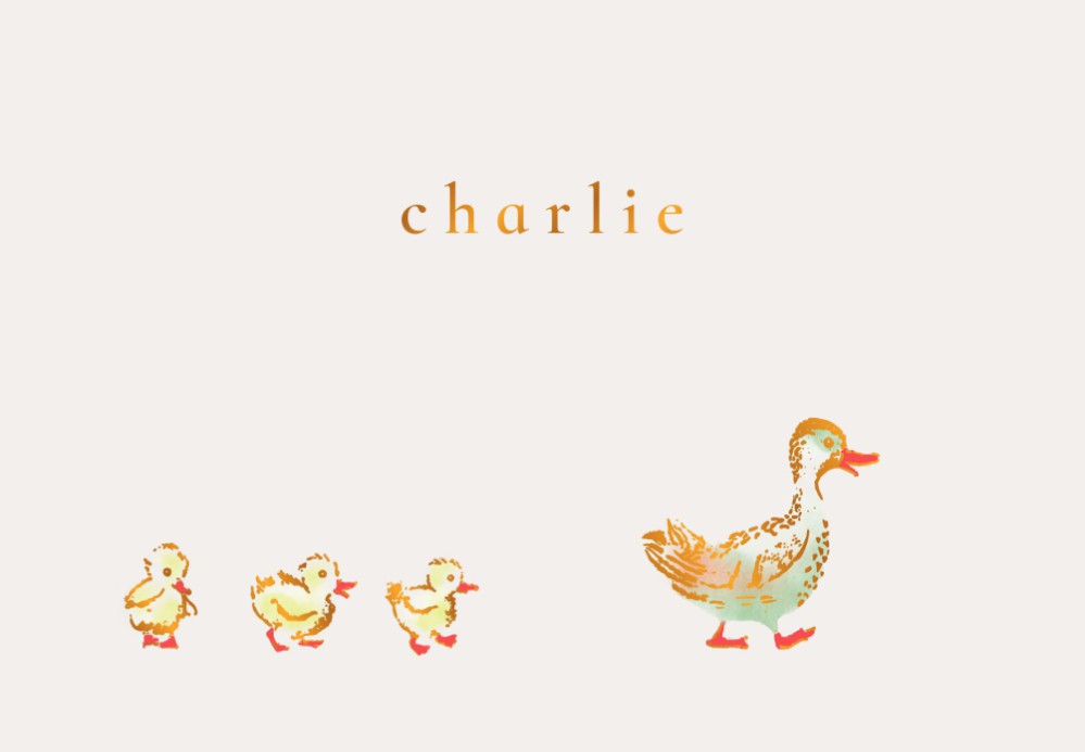 Een heel stijlvol geboortekaartje met moeder eend en haar eendjes achter haan aan. 3 Eendjes waar je er natuurlijk ook twee eendjes van kunt maken. Of bij een eerste kindje haal je er twee weg. Met folie details, maak eens proefdruk!