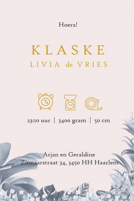 Geboortekaartje mono blauw jungle foliedruk. Foliedruk geboortekaartjes zijn niet meer weg te denken. Ze geven jullie bijzondere geboortekaartje een chique uitstraling en eentje om voor altijd te bewaren. Bepaal zelf wat in foliedruk wil hebben, wij helpe