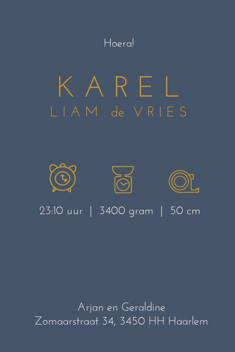 Geboortekaartje mono blauw giraffe foliedruk. Er is keuze in 4 soorten foliedruk, zilver, goud, koper en rosegoud. Vraag eens een gratis proefkaart aan en bekijk zelf eens de prachtige kwaliteit van het geboortekaartje. Een unieke aankondiging.