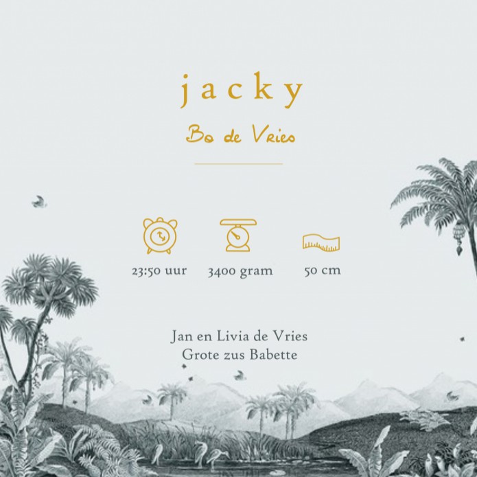 Prachtig jungle geboortekaartje in mono tinten met palmen en giraffen. Een vintage beeld dat in 3 kleuren verkrijgbaar is, oker, blauw en vintage groen. Onze bohemian geboortekaartjes zijn uitbundig, veel panter, natuur, prints, sterren en andere luchtele