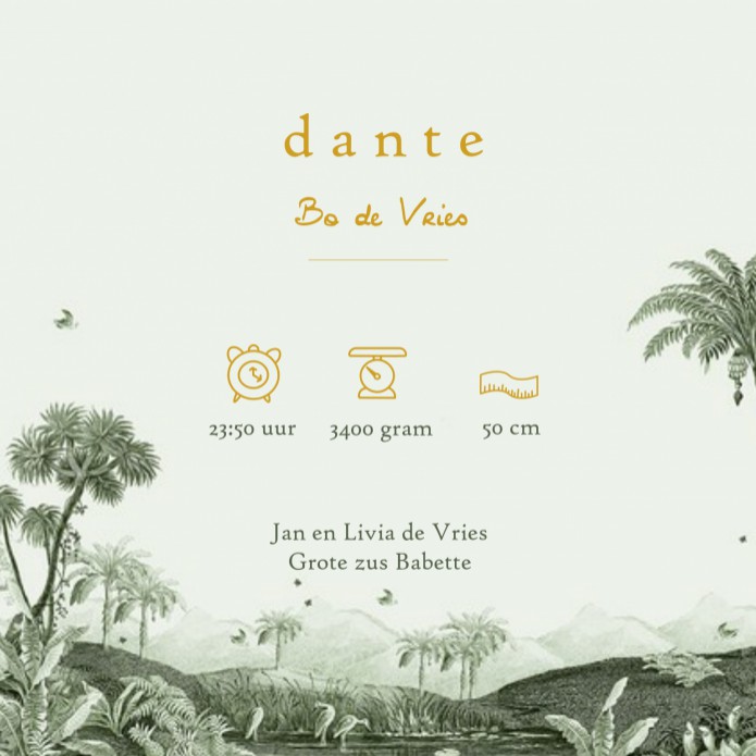 Label geboortekaartje tropisch jungle is een heel bijzonder geboortekaartje. Hiervan zie je niet zo snel een tweede. Alle jungle dieren zijn vertegenwoordigd, de giraffe, papegaai, zebra, panter en toekan. Dit vintage kaartje gaat helemaal met de laatste 