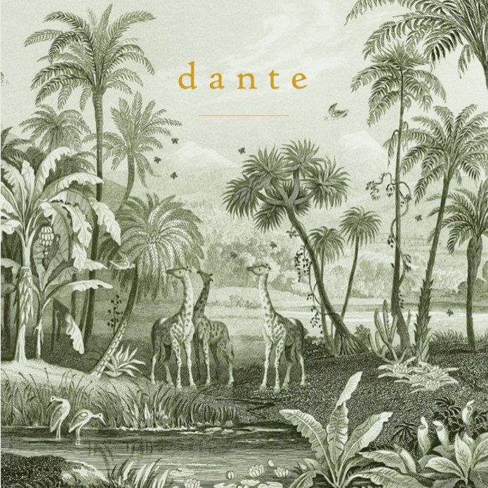 Geboortekaartje mono jungle met giraffen