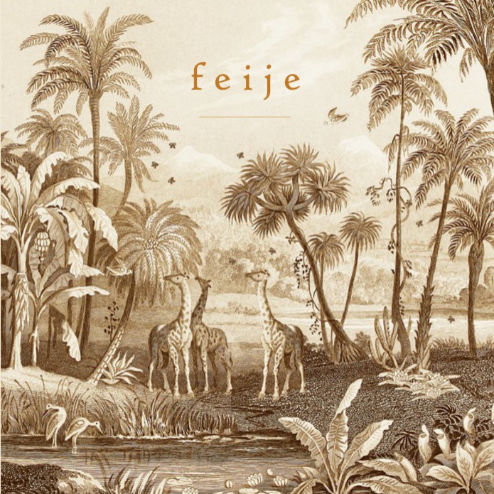 Geboortekaartje mono jungle met giraffen