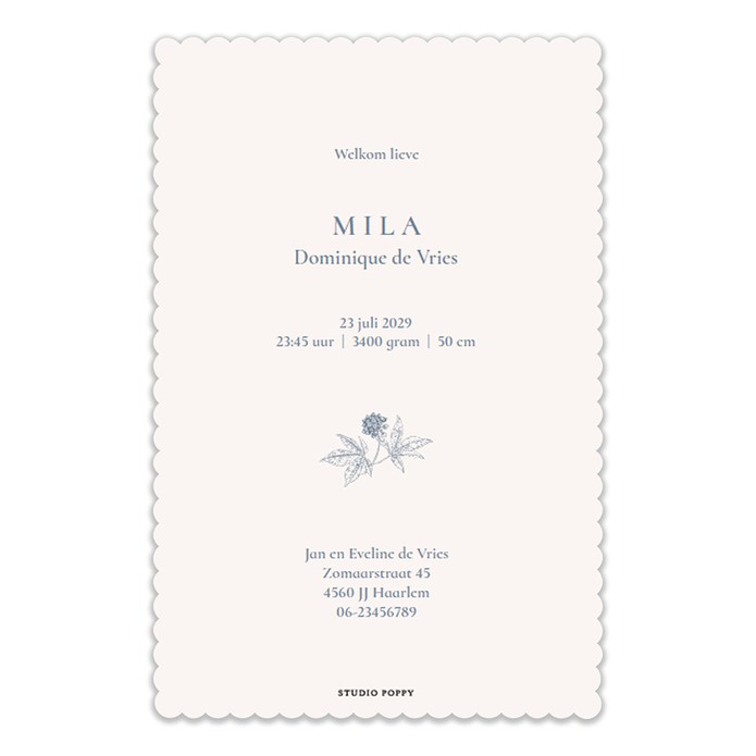 Geboortekaartje schulprandje met botanisch monogram. De hoofdletter van de naam is met de hand getekend en is naar elke kleur om te zetten die je maar wil. Botanische elementen en bloemen maken er een illustratief monogram van.