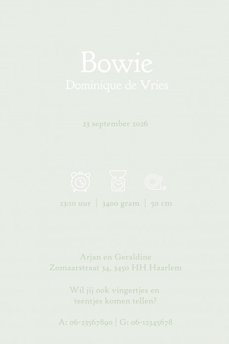 Een bijzonder geboortekaartje met handgeschilderde bloementakjes. Een romantisch, lief geboortekaartje dat ongetwijfeld tijdloos is. Klassiek maar wel op een nieuwe bijzondere manier. In de designtool kun je zelf aan de slag met verschillende lettertypes 