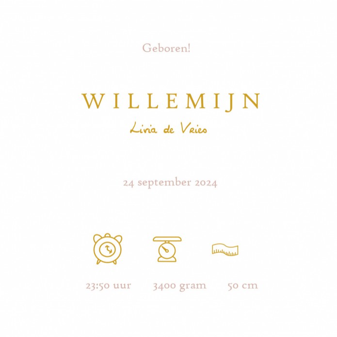 Een heel stijlvol geboortekaartje met monogram in foliedruk. De hand geschilderde bloemen maken het heel bijzonder. Voor elke letter van het alfabet is een kaartje mogelijk. Er zijn 4 soorten foliedruk te selecteren: goudfolie, zilverfolie, koperfolie en 