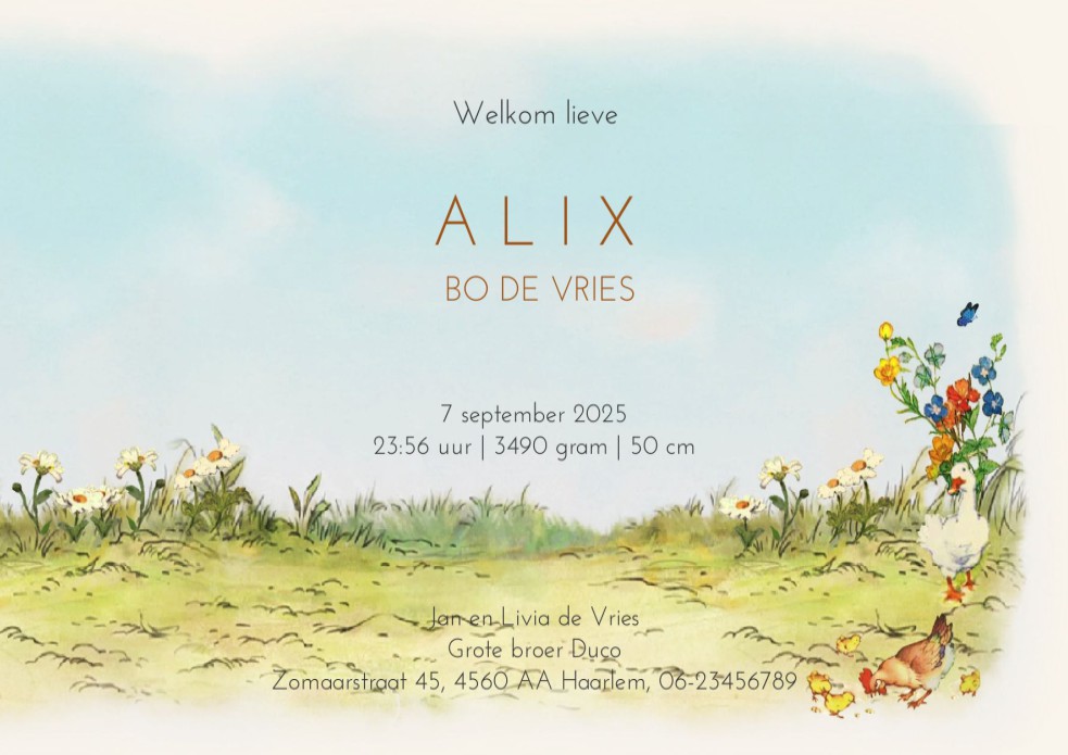 Lief geboortekaartje met baby in de tuin. De baby ligt in het mozeswiegje en is omringd door lieve bosdieren zoals het hert, konijn en eekhoorn. Het mandje met baby kan ook nog vergezeld worden door grote broer of zus die bloemen heeft meegebracht. Vraag 