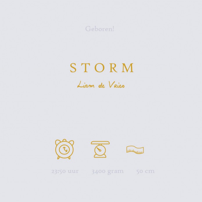 Een heel stijlvol geboortekaartje met lief muisje in goudfolie.  Er zijn 4 soorten foliedruk te selecteren: goudfolie, zilverfolie, koperfolie en rosegoudfolie.  - Alle elementen dienen wel in dezelfde folie gekozen te worden, het is niet mogelijk om meer