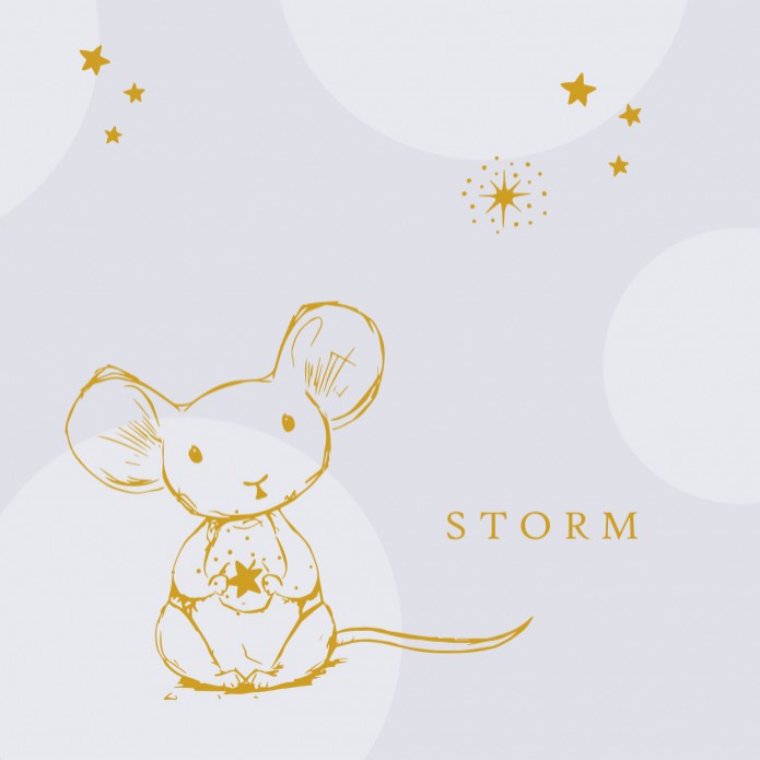 Geboortekaartje muisje met sterretjes foliedruk