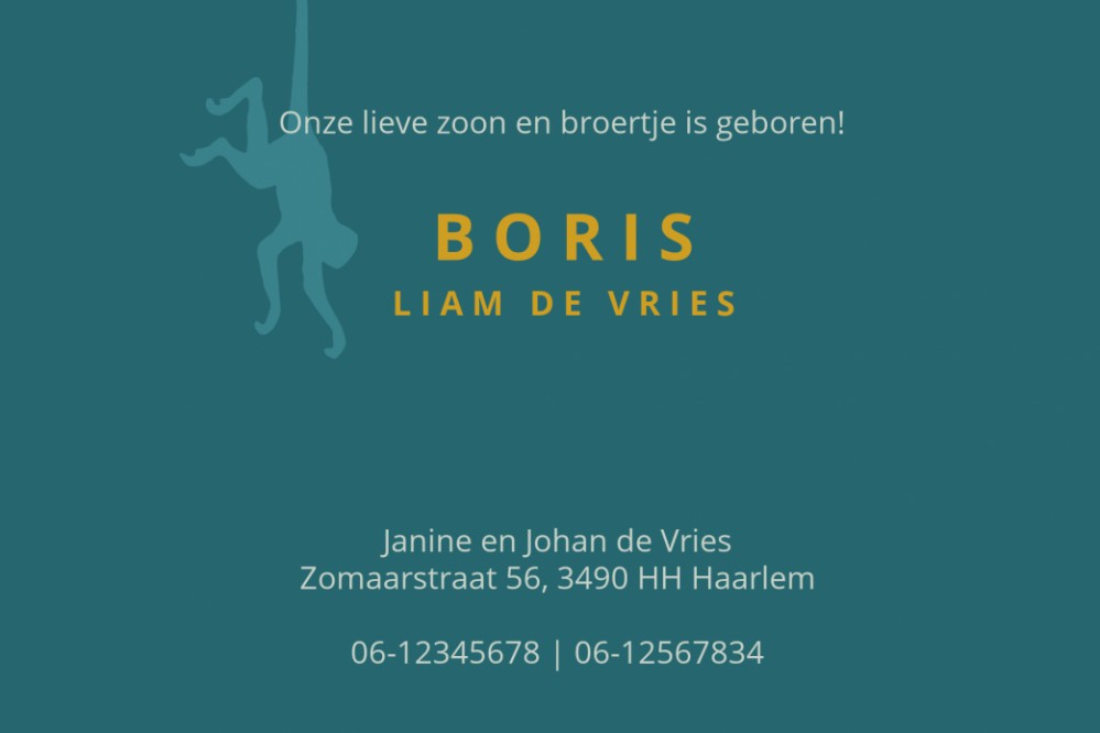 Geboortekaartje aap met foliedruk. Foliedruk geboortekaartjes zijn niet meer weg te denken. Ze geven jullie bijzondere geboortekaartje een chique uitstraling en eentje om voor altijd te bewaren. Bepaal zelf wat in foliedruk wil hebben, wij helpen je! Vraa