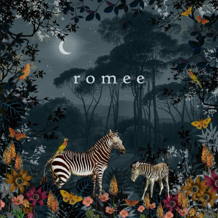 Geboortekaartje zebra's in de natuur wanneer de avond valt