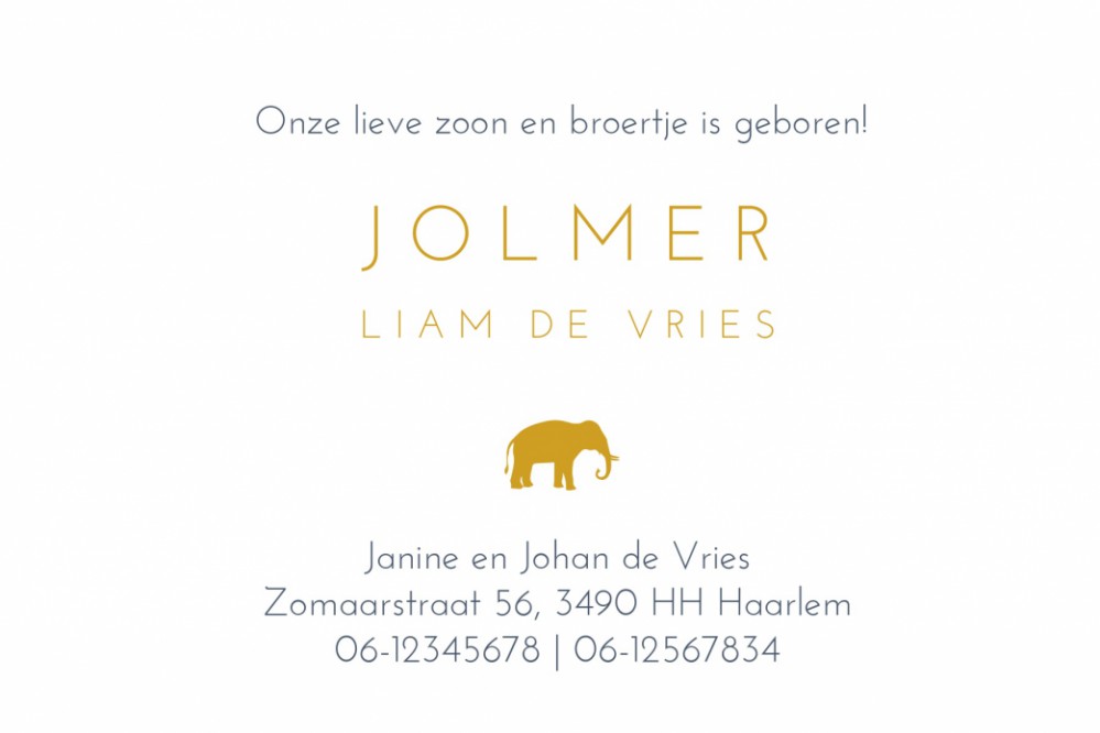 Een heel stijlvol geboortekaartje met naam in goudfolie en stoere olifant. Het geeft jullie bijzondere geboortekaartje een chique uitstraling en eentje om voor altijd te bewaren. Bepaal zelf wat in foliedruk wil hebben, wij helpen je! Vraag de proefdruk a