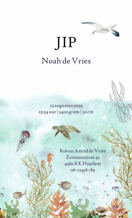 Geboortekaartje met een hele wereld onder zee. Er is van alles te zien en te bekijken, de walvis, octopus, vissen en zeepaardjes. Een avontuurlijk geboortekaartje voor jullie nieuwe baby. Vraag eens de gratis proefdruk aan.