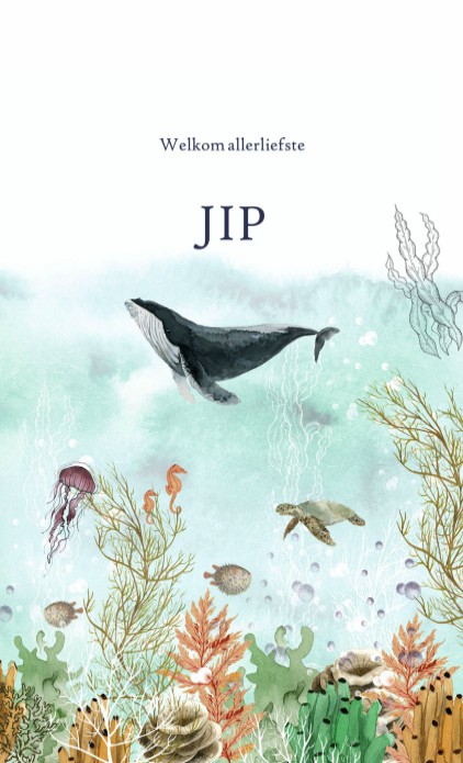 Geboortekaartje met een hele wereld onder zee. Er is van alles te zien en te bekijken, de walvis, octopus, vissen en zeepaardjes. Een avontuurlijk geboortekaartje voor jullie nieuwe baby. Vraag eens de gratis proefdruk aan.