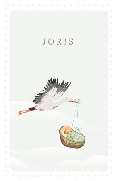 Geboortekaartje ooievaar met baby in mandje