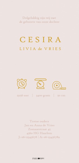 De leukste geboortekaartjes van Studio POPPY vind je hier. Met de ontwerptool kun je jouw hippe geboortekaartje ontwerpen zoals jij dat wil. Dit vintage kaartje gaat helemaal met de laatste trends mee. Met de gratis proefdruk kun je ook de kwaliteit goed 